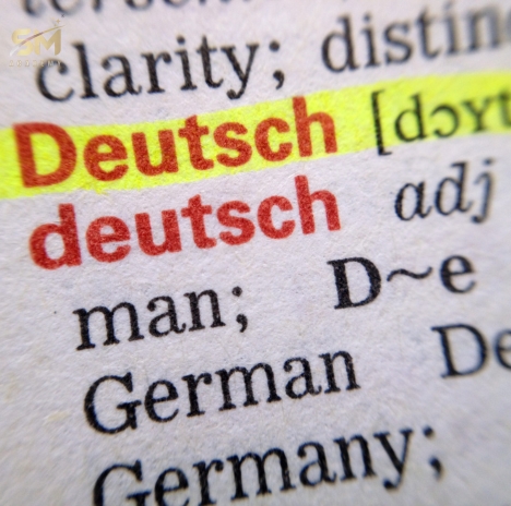 German Grammar Cases Explained Simply: Articles and Word Order